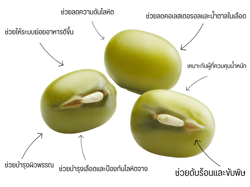 ประโยชน์และคุณสมบัติของถั่วเขียว ประโยชน์และคุณสมบัติของถั่วเขียว